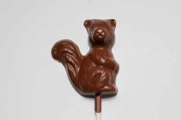 Squirrel sucker